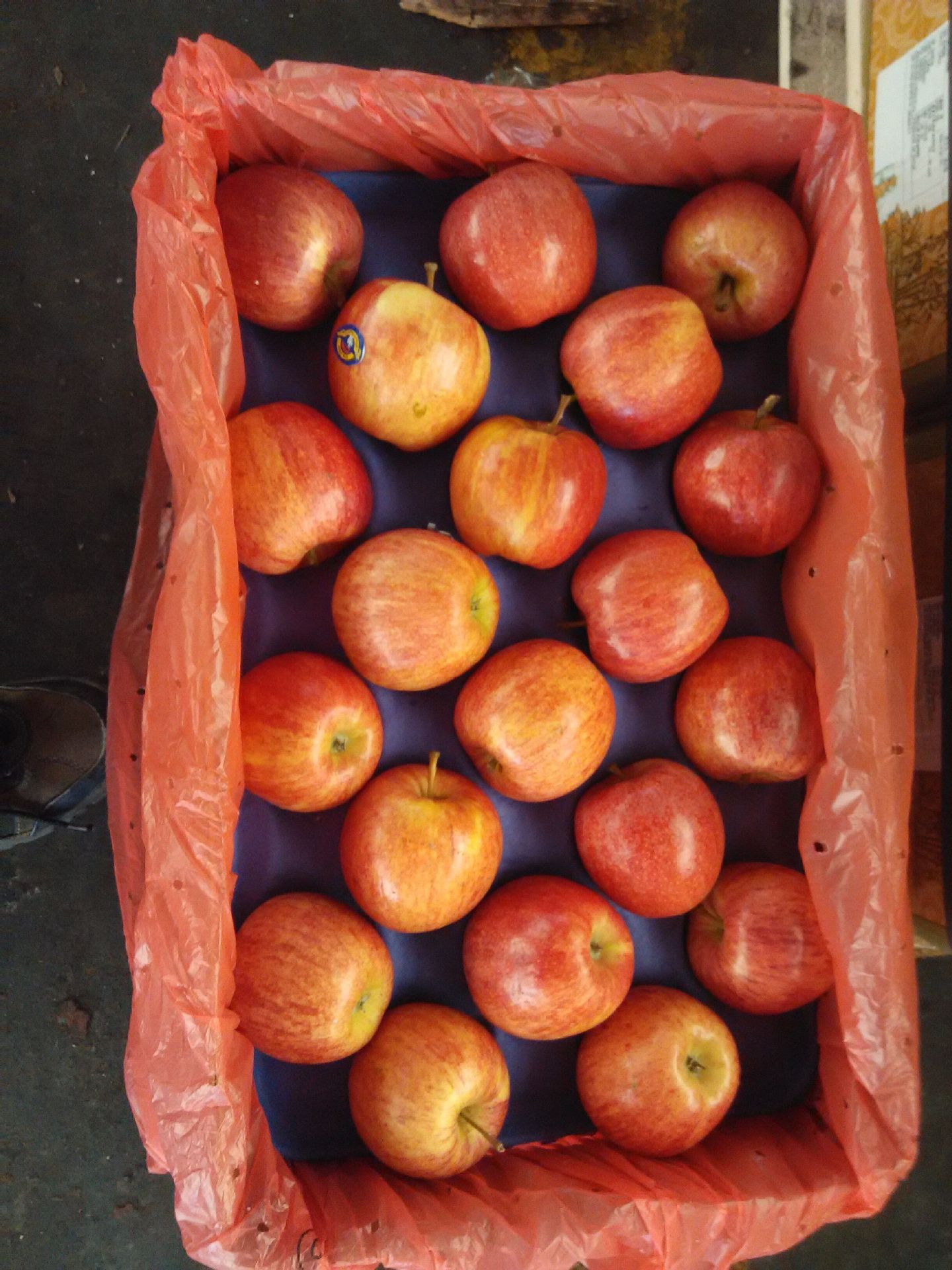 智利苹果 进口红苹果 姬娜苹果 加力果 圣诞苹果新鲜水果批发团购