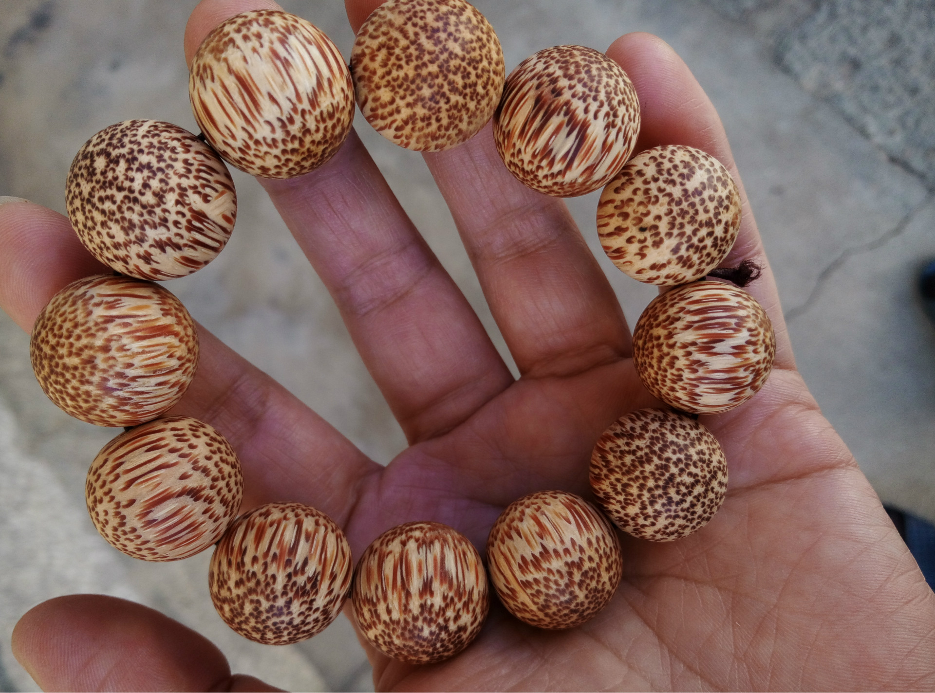 新款 精品龙血金丝竹手串 细密鱼籽纹高密仙游佛珠手串 厂家批发