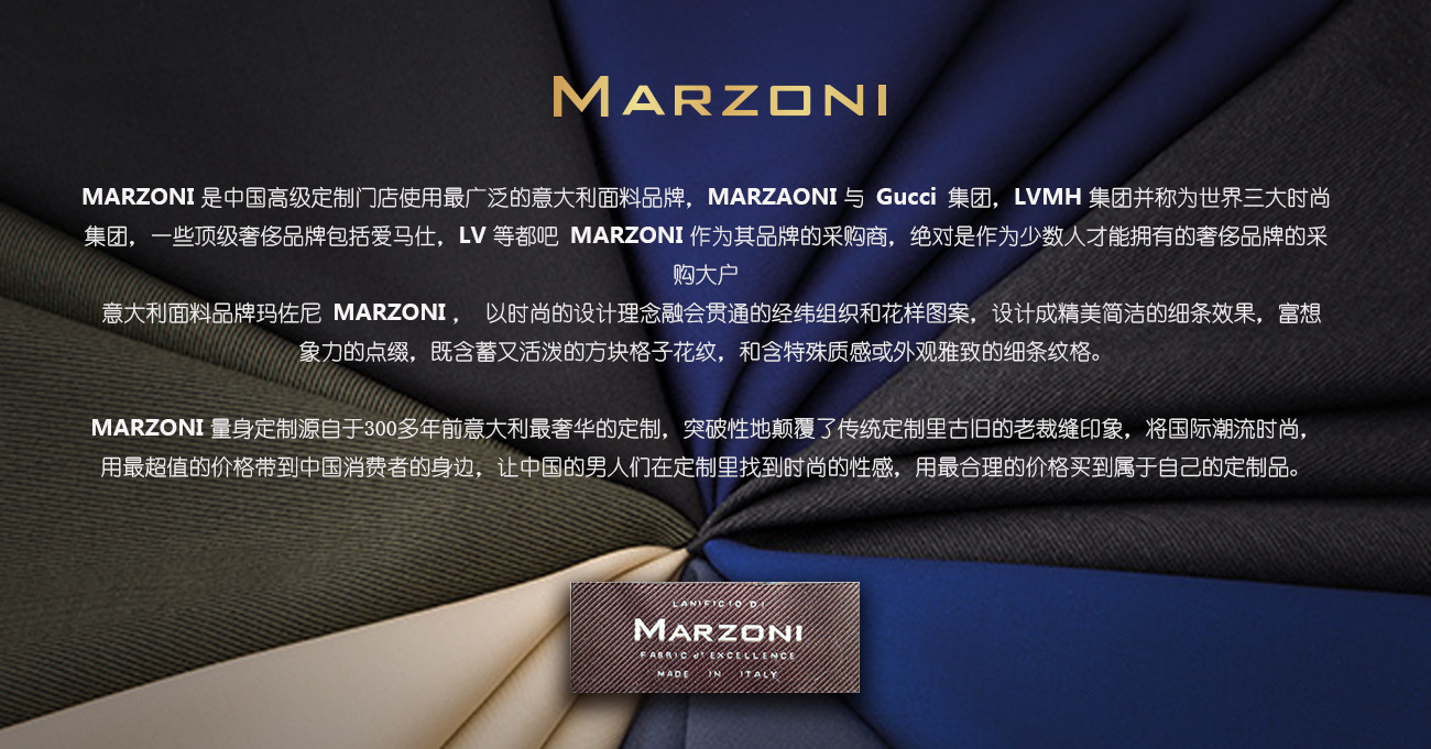 意大利进口品牌玛佐尼marzoni西装西服面料2015春夏款022-99/700