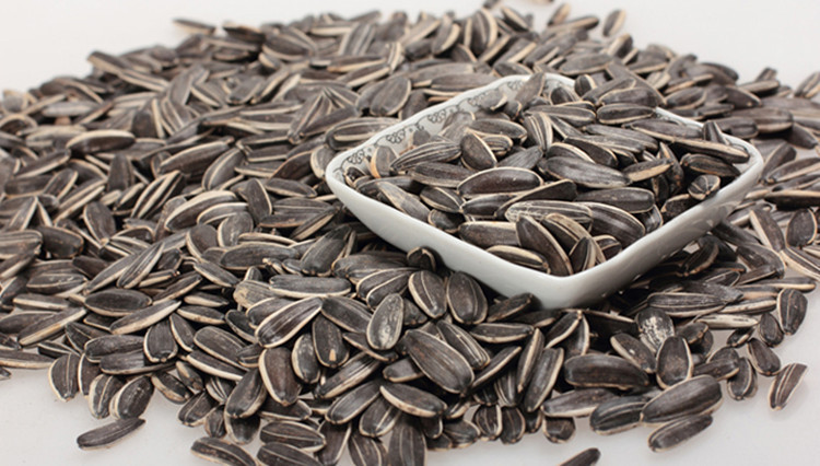 水煮五香味瓜子 5公斤/箱 上等葵花籽 纯手工秘制 炒货批发