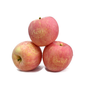 灵宝特级鲜果 sod苹果 原始口感美味 汁多甜脆