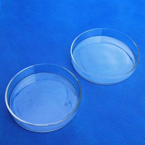 高鹏硅玻璃培养皿60mm90mm120mm 细胞真菌培养皿 玻璃器皿