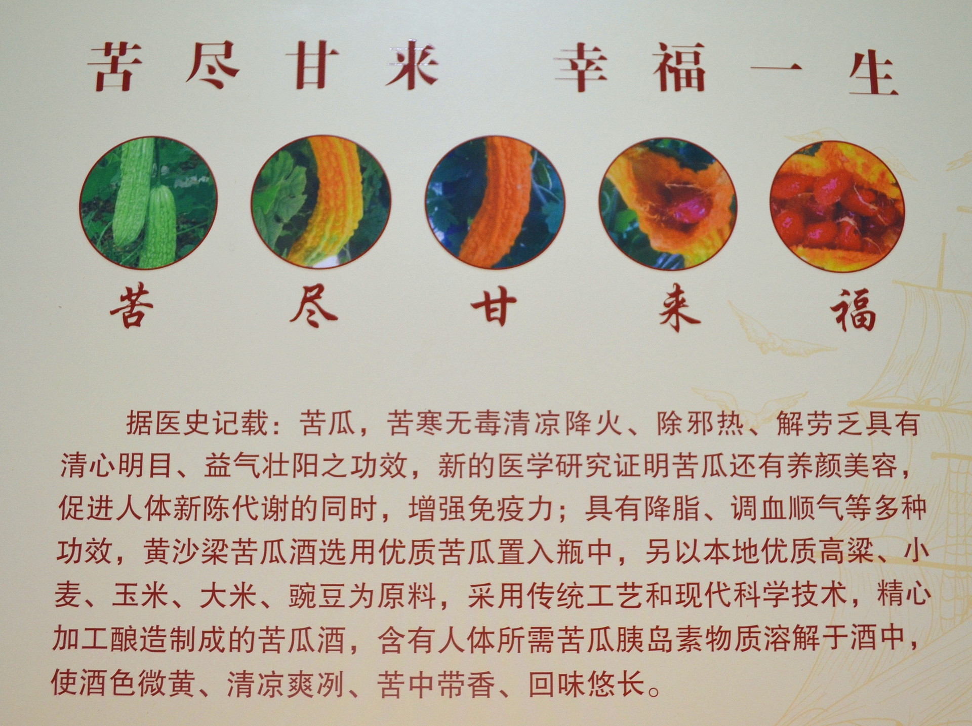 苦瓜养生酒 新疆黄沙梁精装礼盒一帆风顺苦瓜酒 瓶中含完整苦瓜