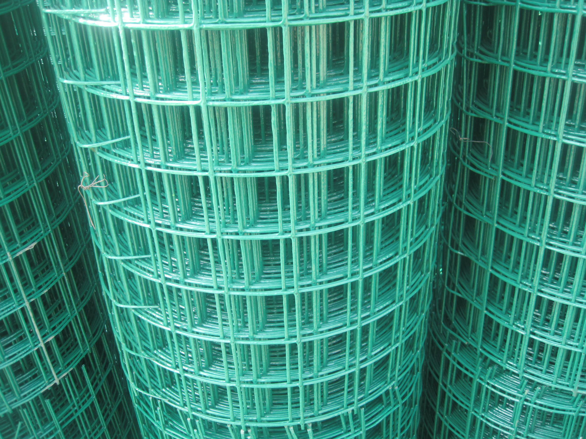 5米-2米高圈地用浸塑电焊网 荷兰网销售 网孔6x6cm