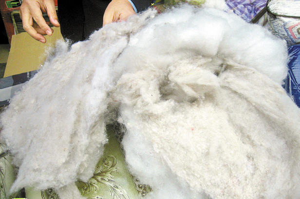 新疆棉花棉胎 儿童纱布有机彩棉被芯天然纯棉被子 厂家批发直销