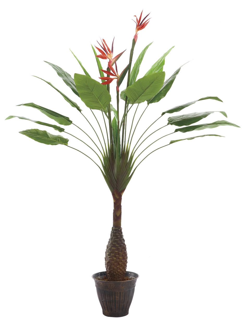 仿真绿植系列 仿真天堂鸟 芭蕉叶装饰 人造植物 前台装饰 直销