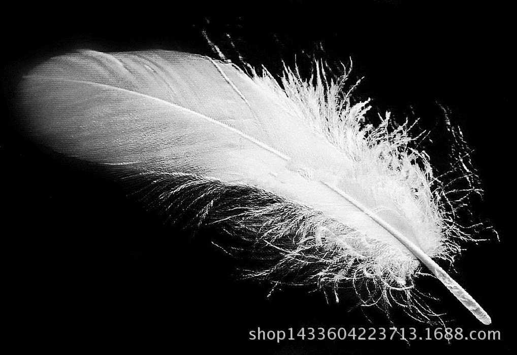 天然鹅毛饰品配件大飘软飘服装辅料飘毛染色加工