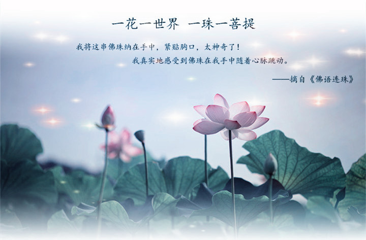 小叶紫檀木雕手工艺品批发 狮子戏球手把件