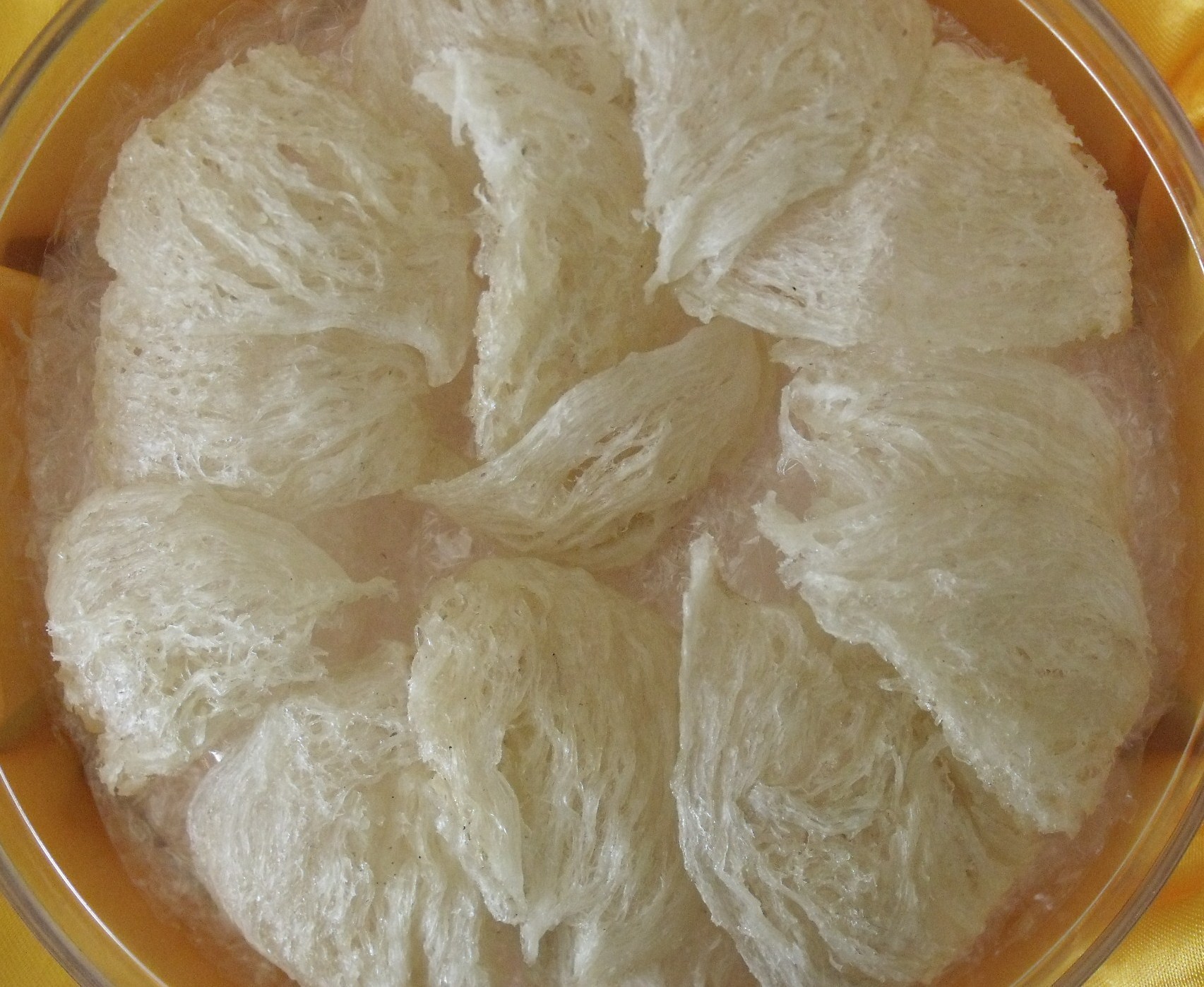 经销批发 精品养生白燕窝 天然名贵滋补品