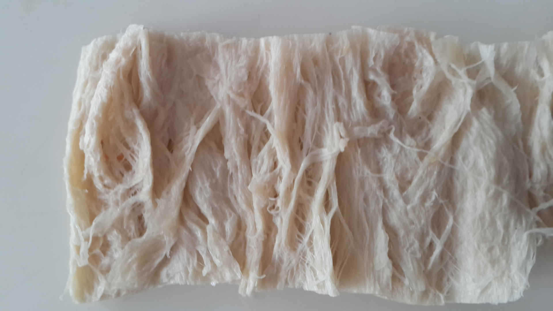 济南拉丝蛋白素肉设备,台湾技术誉亚制造,生产和工艺包教包会