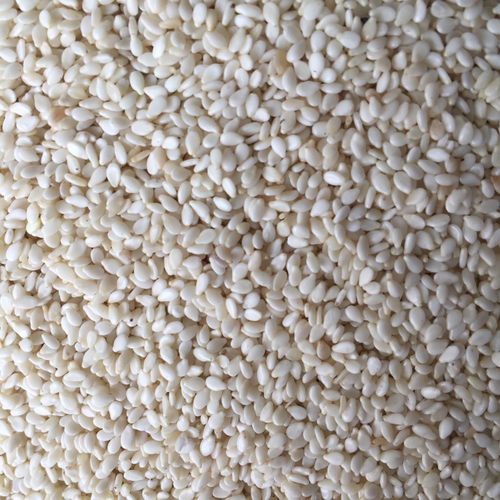 脱皮白芝麻仁 去皮白芝麻 颗粒饱满 美容养颜 生芝麻批发销售