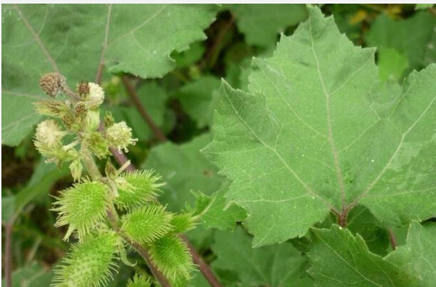 那些只属于80,90后出生在农村的记忆 !