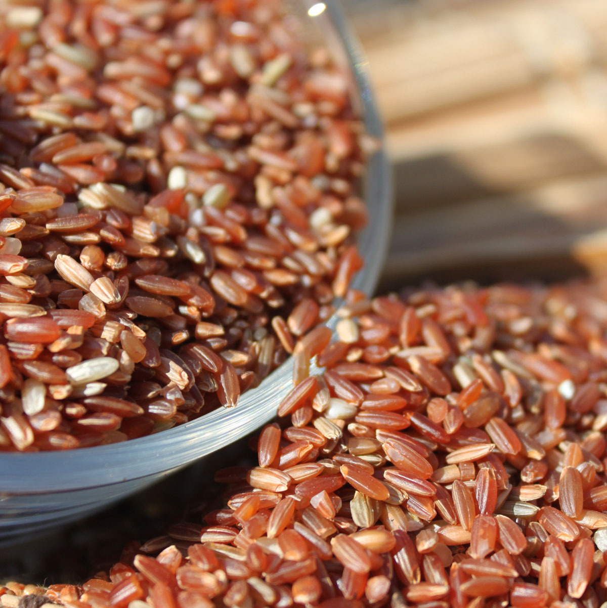 红米 红香米 香禾米 香稻 滋补良品 500g 枕头包