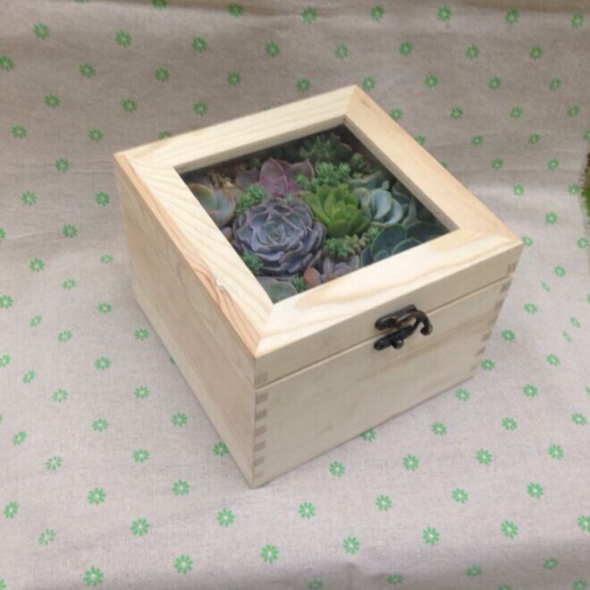 【包装盒厂家】多肉植物包装盒创意盒,组合花卉盆栽盒,礼品盒