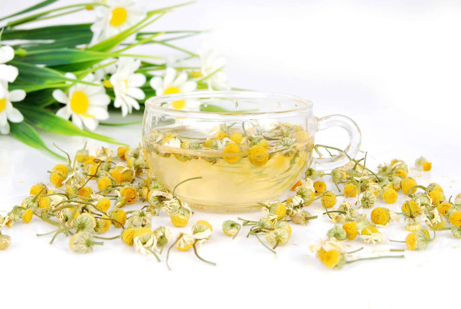 洋甘菊花草茶 美白消斑提亮肤色除黑眼圈花茶 oem贴牌代加工