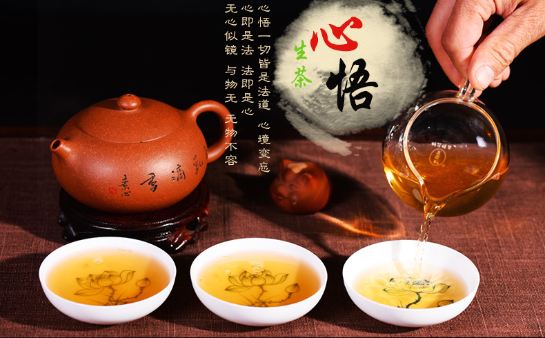 云南沧道心悟普洱茶饼茶 云南大树茶 七子饼茶批发