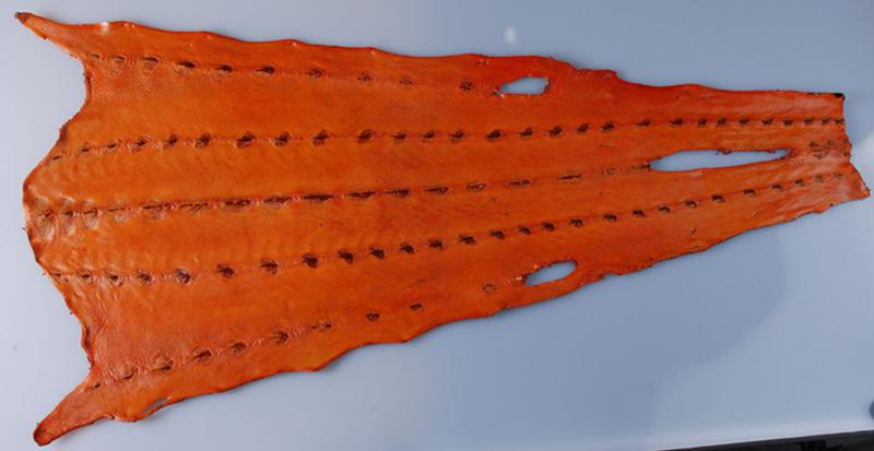 多色鲟鳇鱼皮革鲟鱼皮 可定制