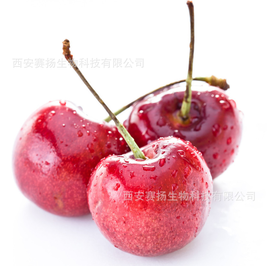 产品名称:樱桃粉