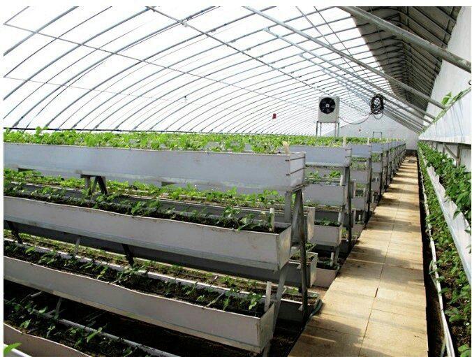 销售立体种植槽 栽培槽 草莓槽