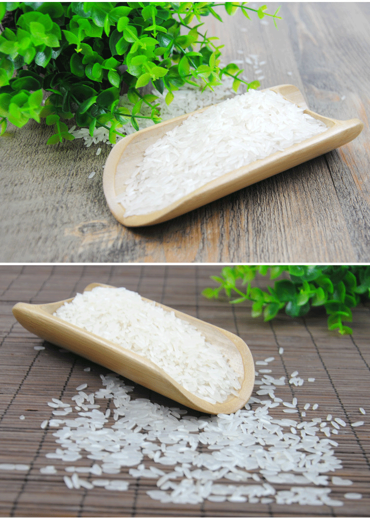 江西宜春东北大米10kg真空包装有机rice晚籼稻谷 粳糯稻米富硒米厂家