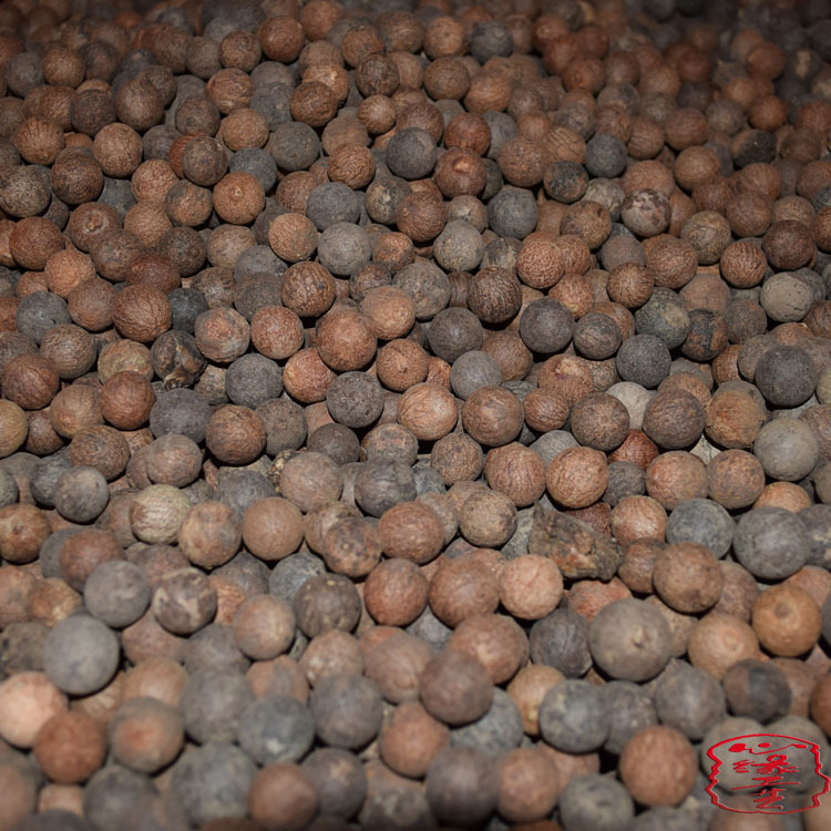 批发小菩提根原籽 菩提根原料 菩提根原子 直径10-15mm