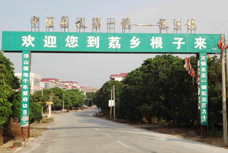 预售5月份新鲜荔枝 妃子笑 桂味 新鲜水果 5斤送1斤 顺丰直达