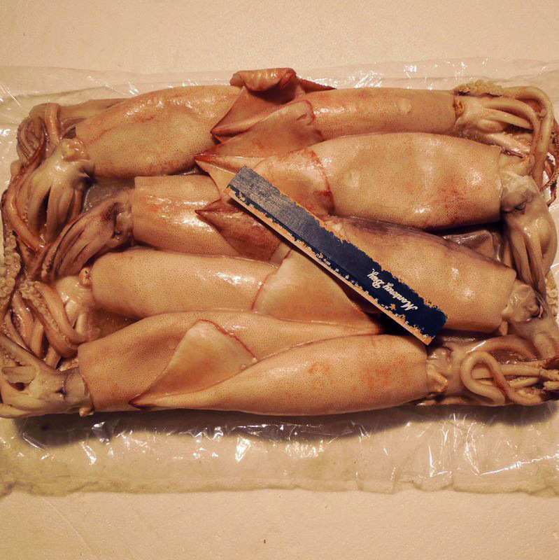 批发 大连当地冷冻鱿鱼 冰冻鱿鱼图片_3