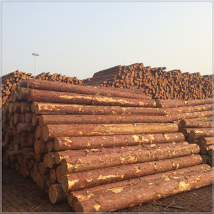 落叶松松木原木