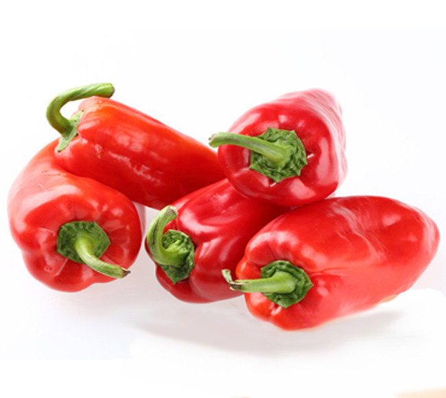 蔬菜种子 春秋红泡椒种子 泡辣椒 辣味浓适宜鲜食 晒干椒 做调料