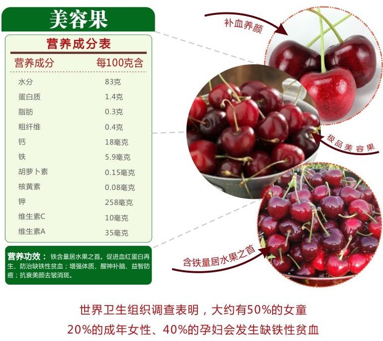 盆栽樱桃苗 庭院种植地栽樱桃果树苗当年结果 黑珍珠樱桃树苗批发