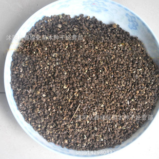 草花种子新采优质 情人草种子 多情草舞草种子 发芽率高品种齐全