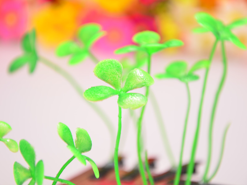 ts1006 韩版智慧草顶夹 搞怪呆萌软妹加固小豆芽发夹 漫展发饰品