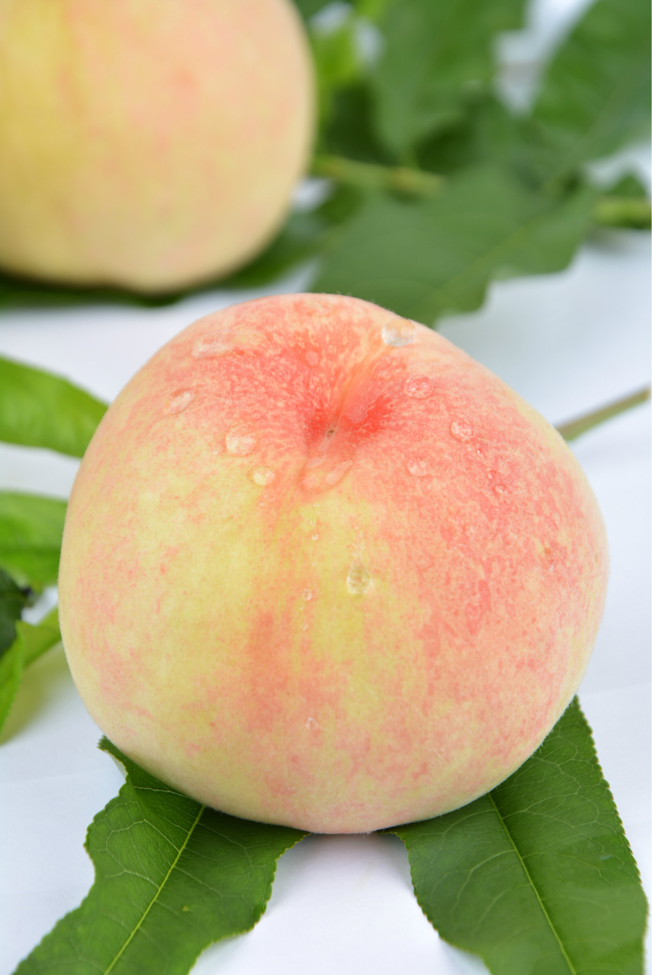 无公害瑜伽水果水蜜桃 新鲜正宗无锡阳山水蜜桃