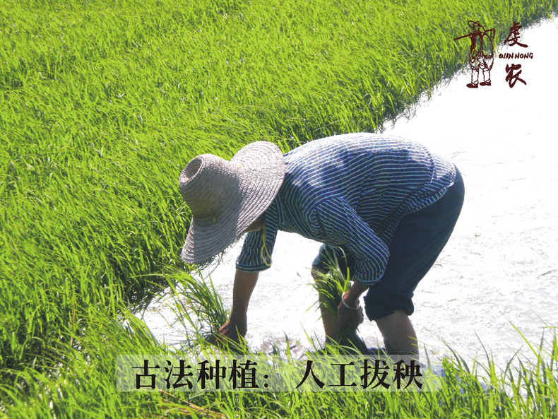 拔秧工具,工具,小工具(第10页)_大山谷图库
