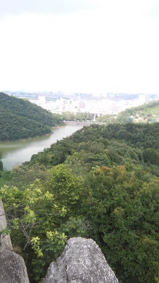 周日深圳龙岗小羊台山半日游