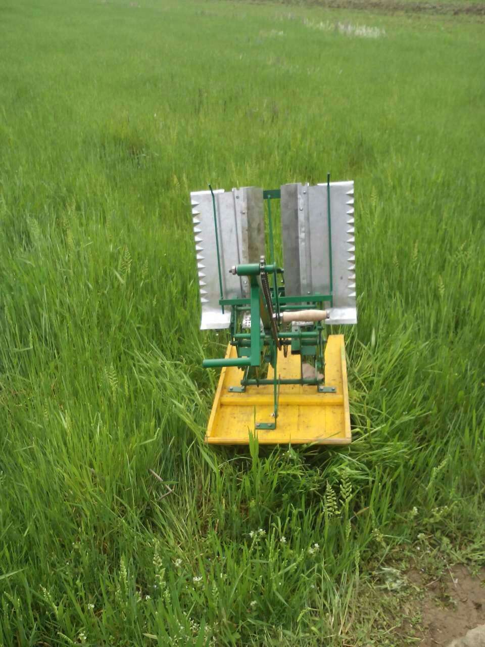 浙江金华两行人力小型插秧机 水稻插秧机种植机专用 手动手摇式插秧机