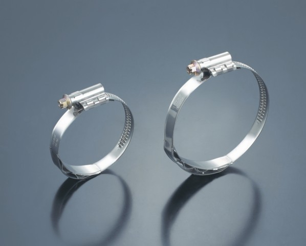 德式(偏式)带弹簧垫卡箍图片_2